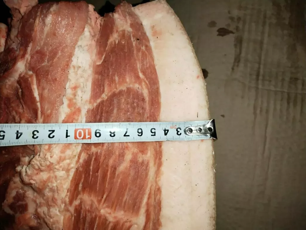 мясо свинина жирная в полутушах  в Оренбурге и Оренбургской области 7