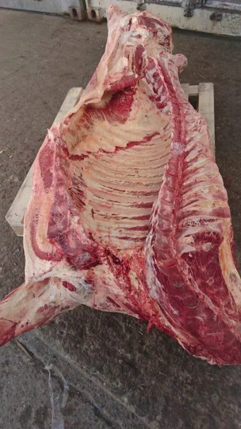 фотография продукта мясо говядина оптом (полутуши)
