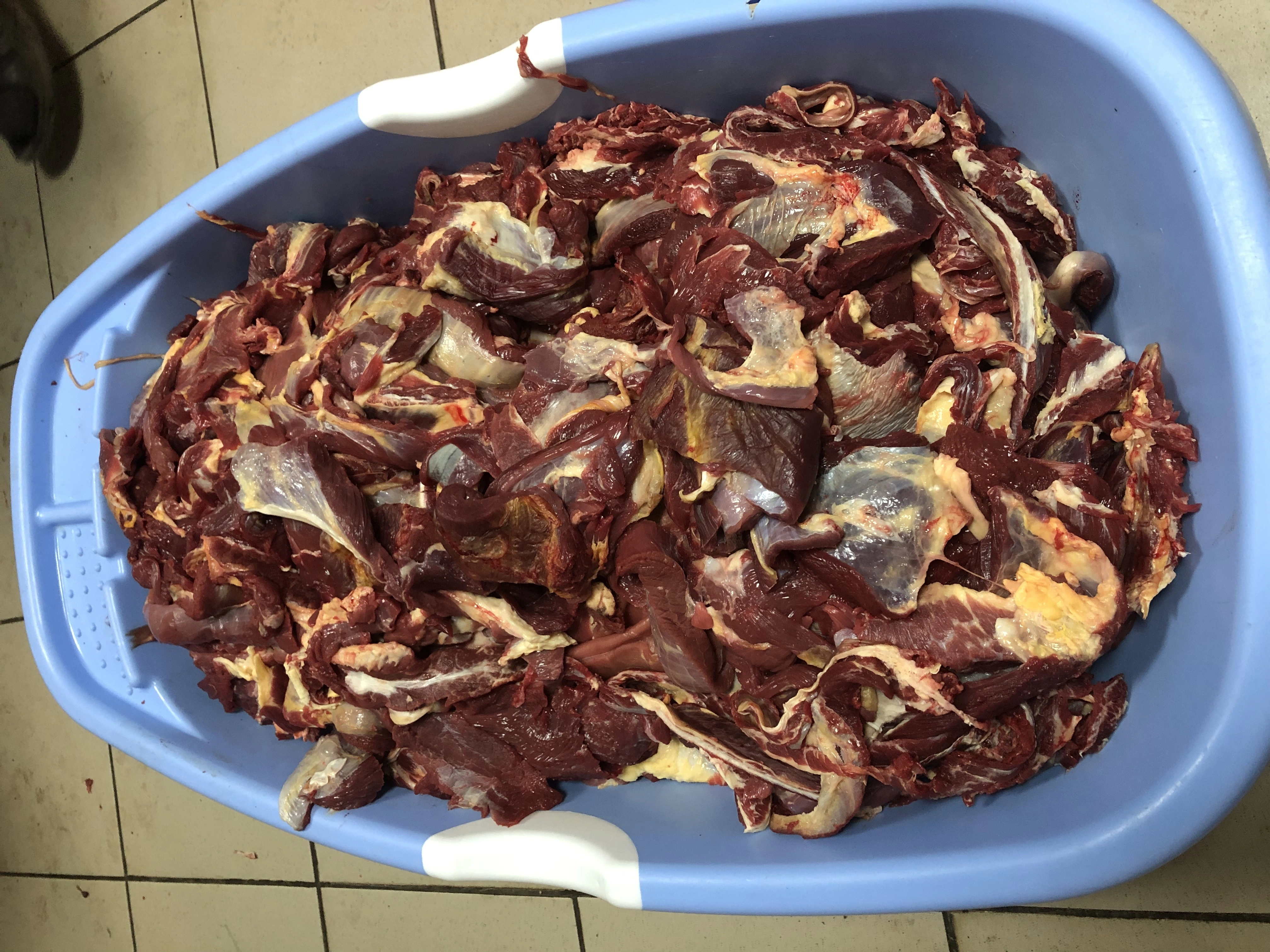 мясо односортное блочное без кости  в Оренбурге и Оренбургской области 4
