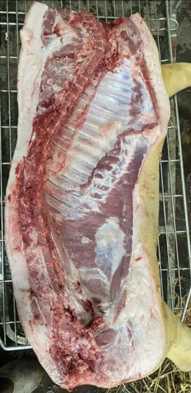 мясо свинина жирная в полутушах  в Оренбурге и Оренбургской области