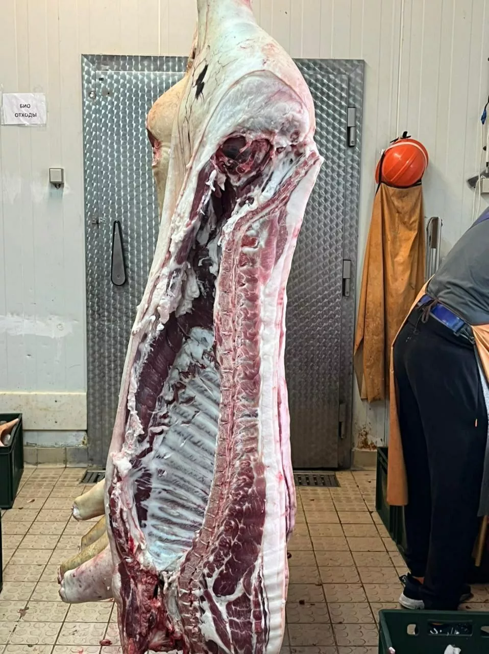 фотография продукта Мясо свинина жирная в полутушах 